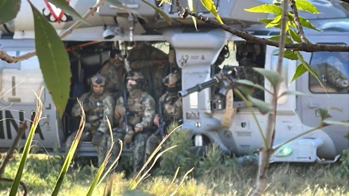 Gurú Político tweet media