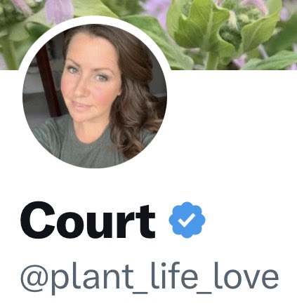 Randy (Flawed Human) tweet media