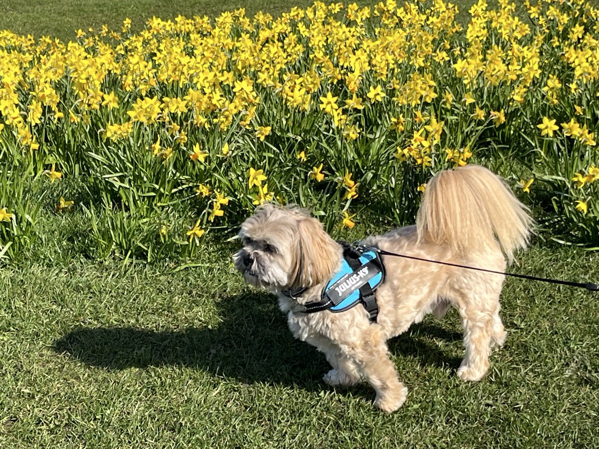 Tina Mason tweet media