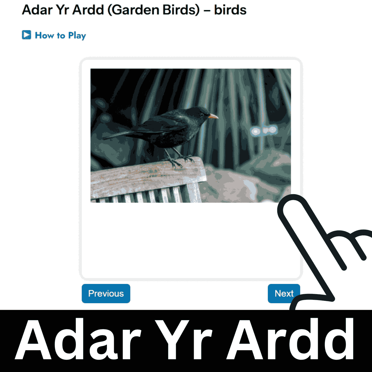 Learn Welsh Fast tweet media