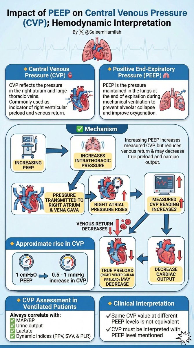 𝗦𝗮𝗹𝗲𝗲𝗺 𝗡. 𝗛𝗮𝗺𝗶𝗹𝗮𝗵 🫁| ســليم هميــله tweet media