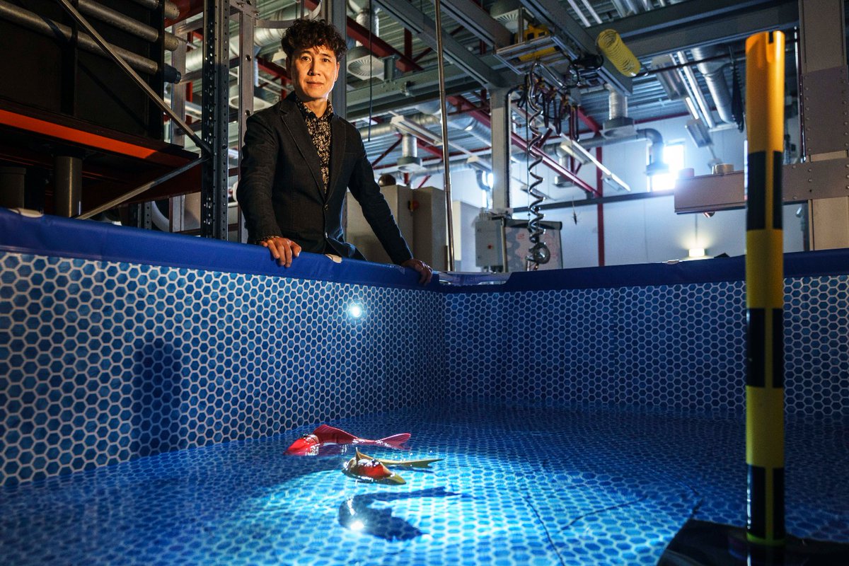 Beste-ID.NL @beste-id.bsky.social tweet media