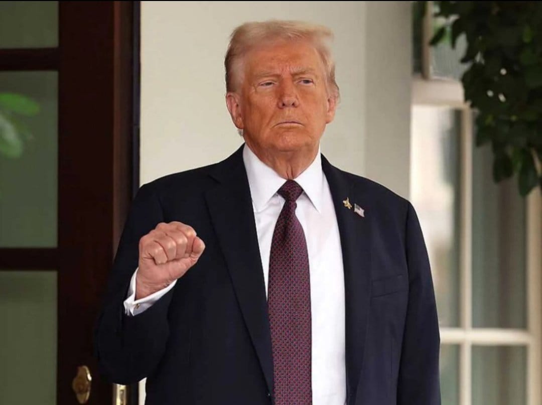 SilentOrbit tweet media