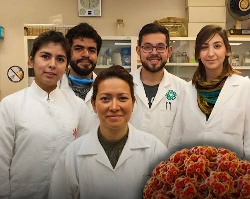 For all Curious tweet media