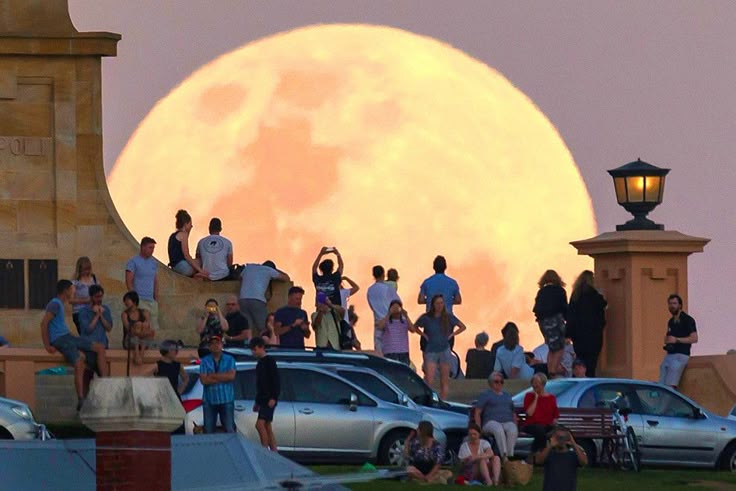 Serene 🌼 tweet media