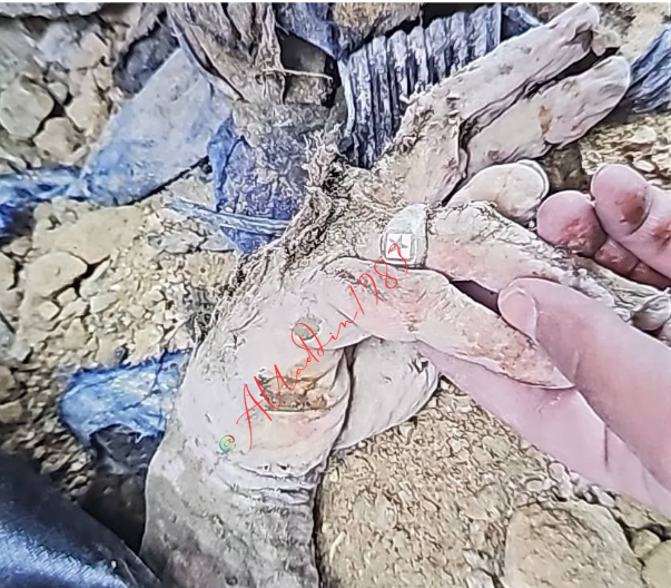 Alladdin tweet media