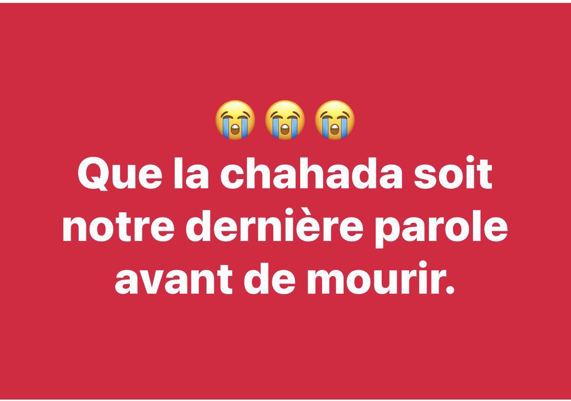 l’Étudiant_Noir👨🏿‍⚖️🇸🇳 tweet media