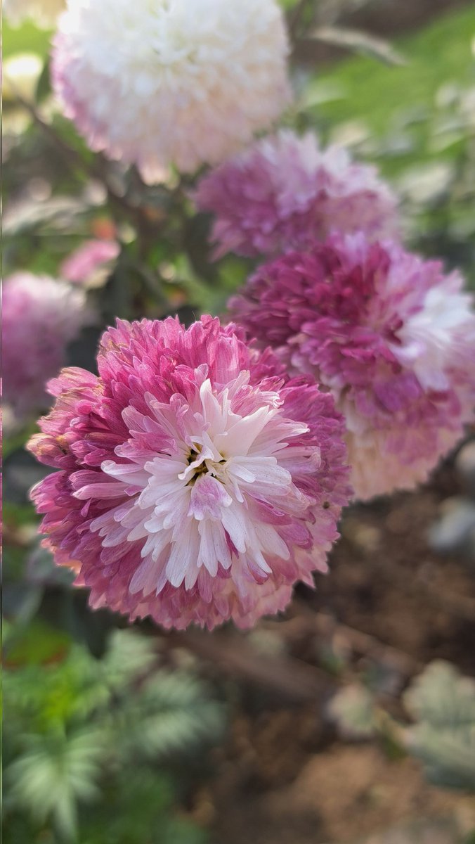 damon⁷ has had enough tweet media