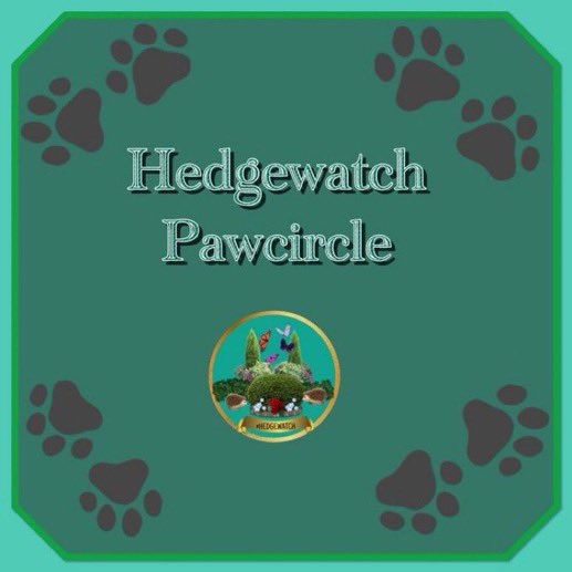 Hedgewatch tweet media