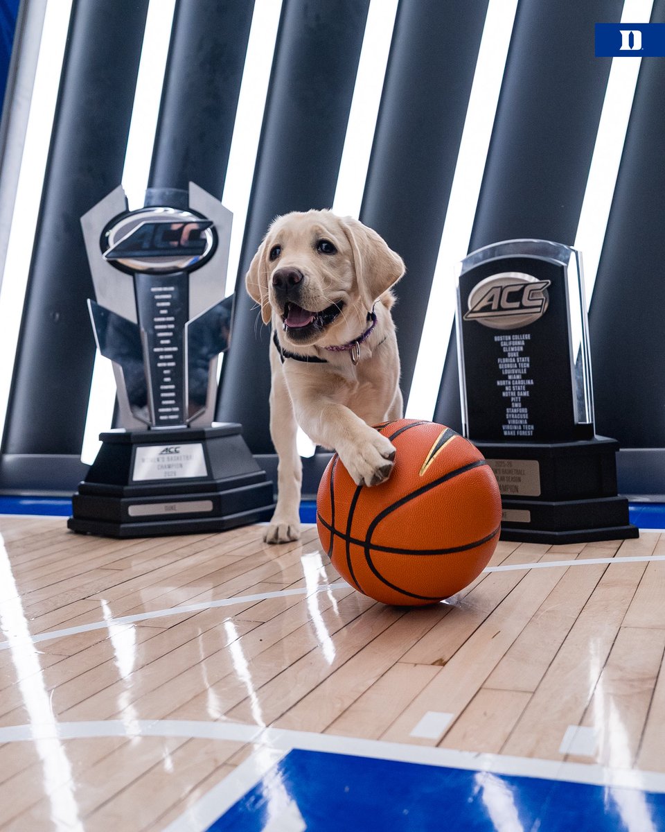 Duke Women’s Basketball tweet media