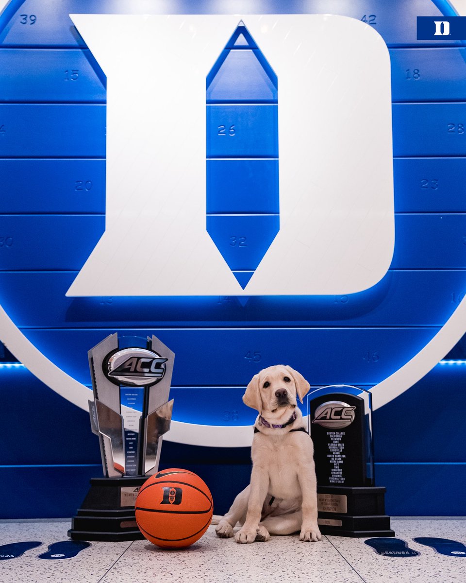 Duke Women’s Basketball tweet media