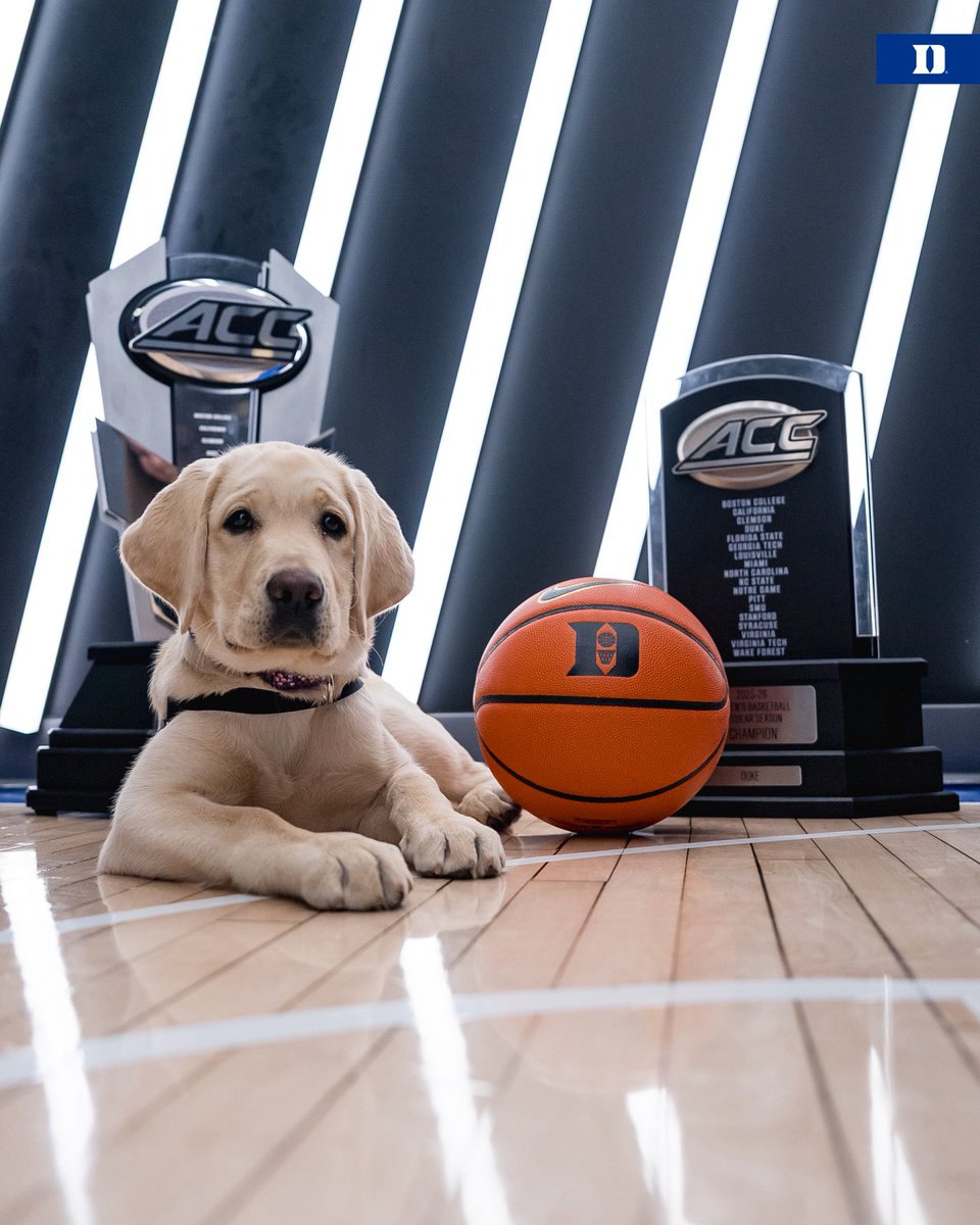 Duke Women’s Basketball tweet media