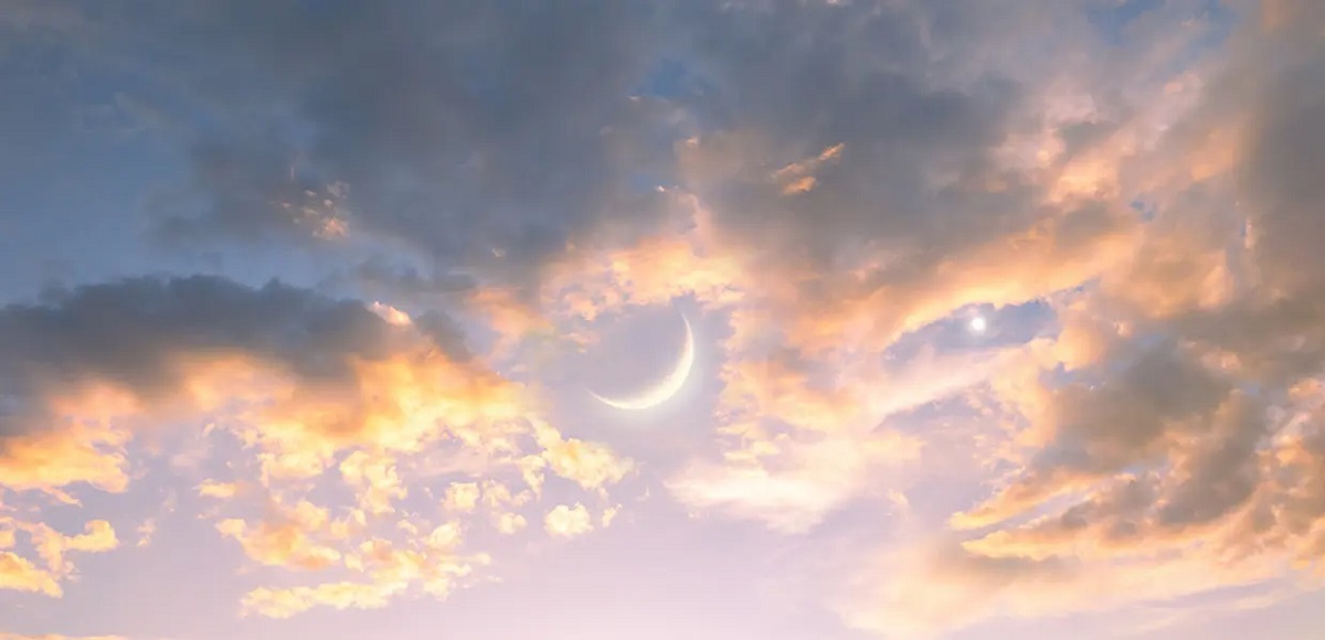 Star Struck Times tweet media