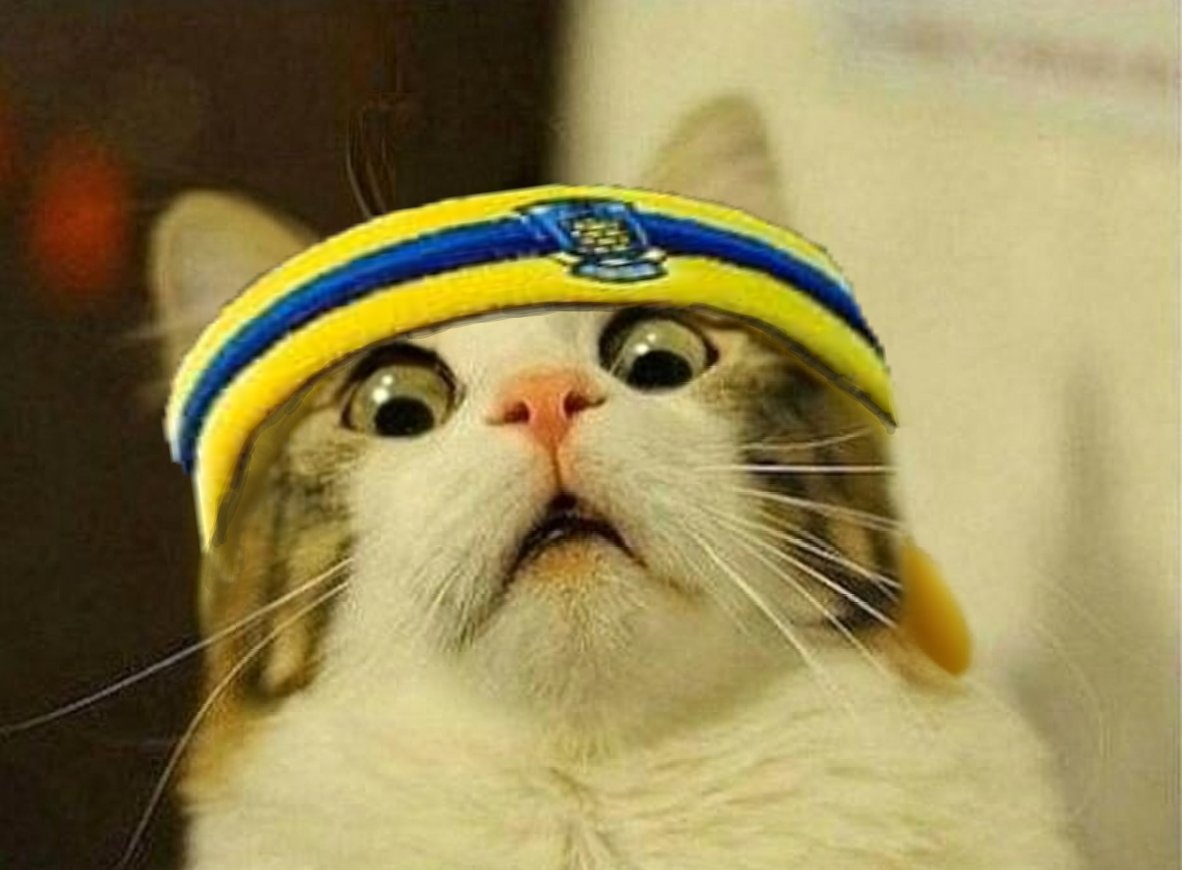 𝗠𝗛𝗟 tweet media