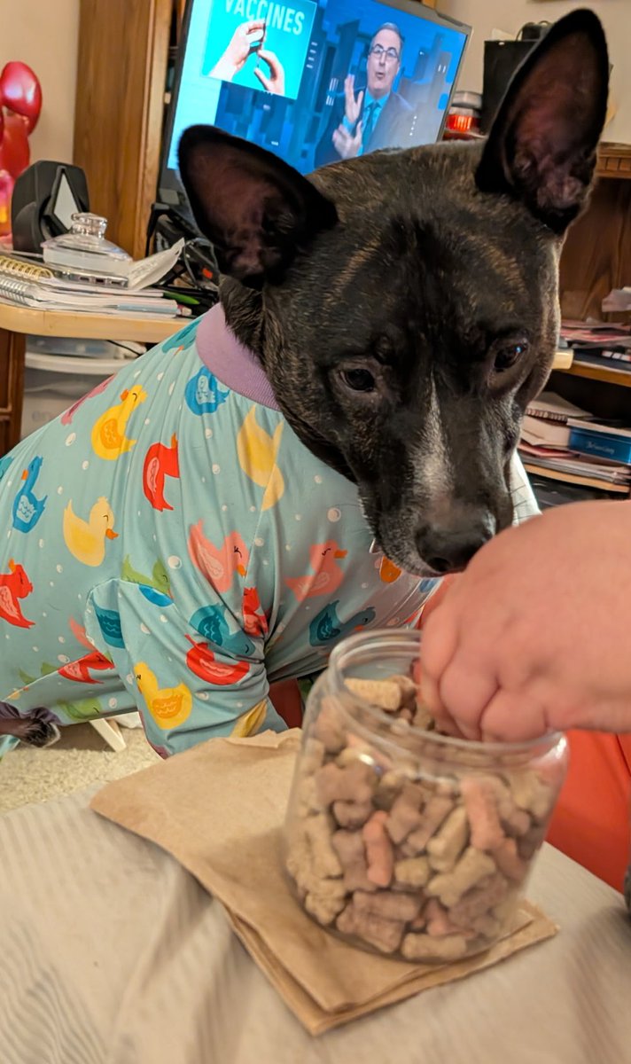 🐣🌷 Handsome Henry 🌷🐣 tweet media