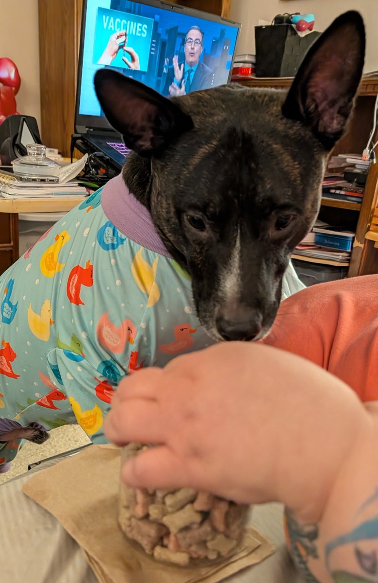 🐣🌷 Handsome Henry 🌷🐣 tweet media