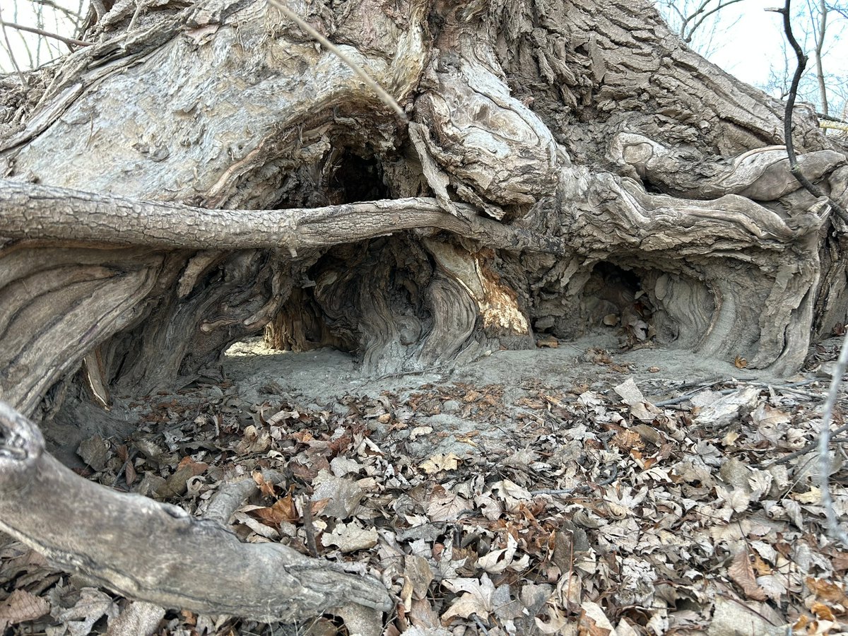 Daggerlad tweet media