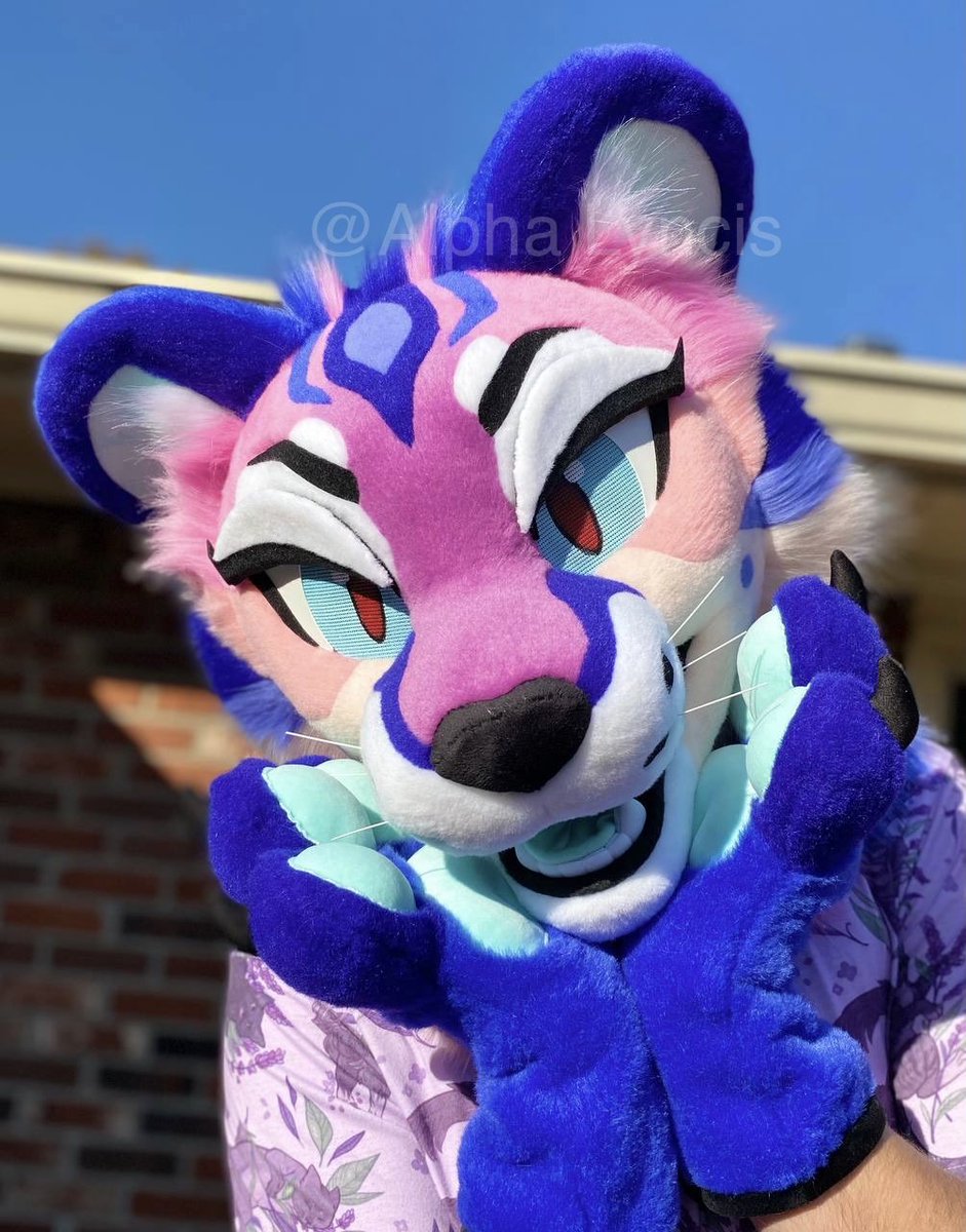 🌜Alpha Lyncis Fursuits🌛 tweet media