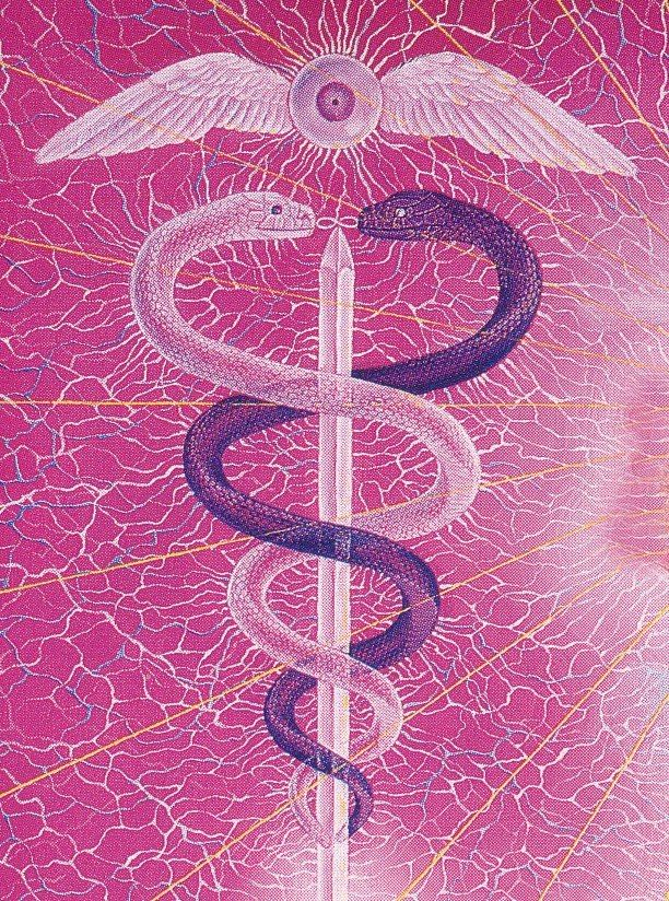 JACK SWEENEY tweet media