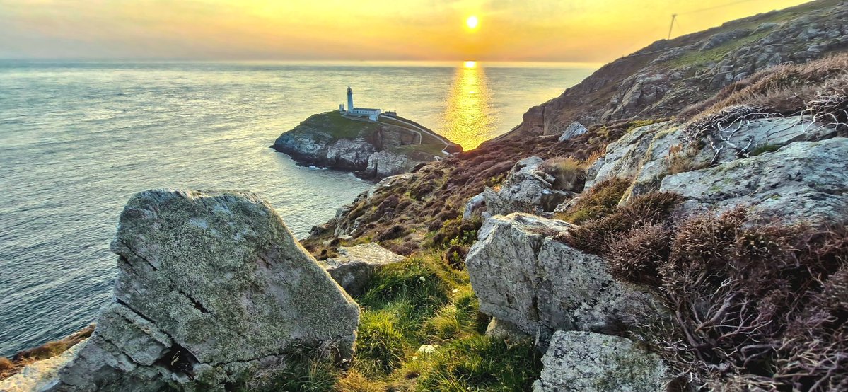 BleddynJones-Pearson tweet media