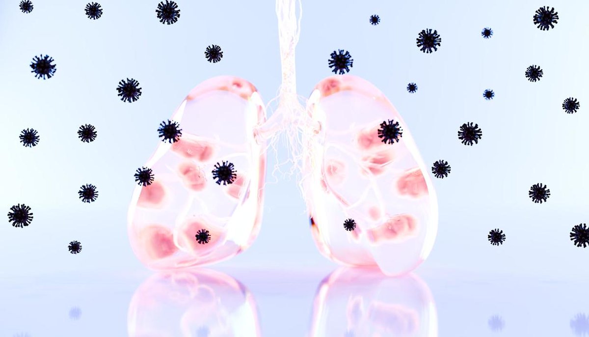 CurioSphereAI tweet media