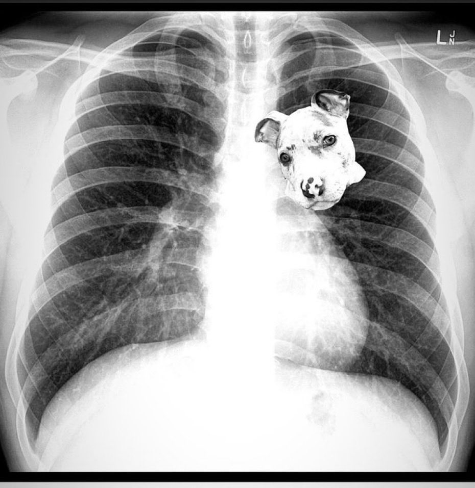 Depressed Titans Fan 🫢🫳 tweet media