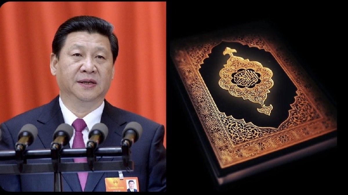 M. Sıddık Yıldırım (محمد صديق يلدرم) 🇹🇷 tweet media