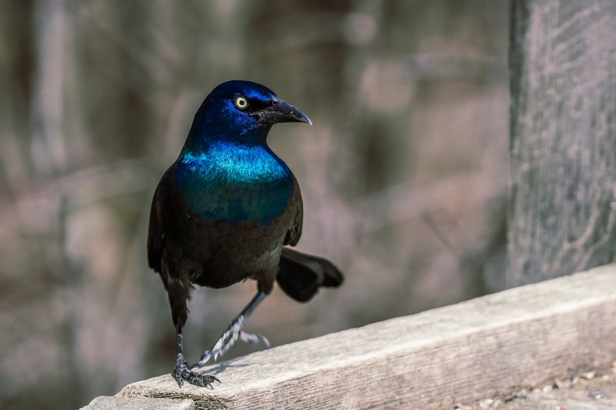 𝚂𝚞 𖠰 tweet media