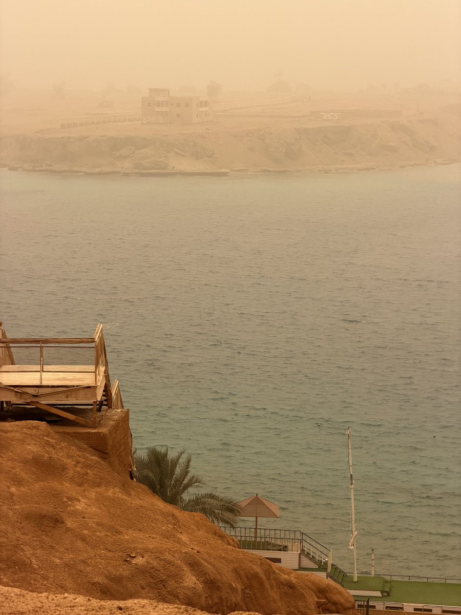 akipka🦭 tweet media