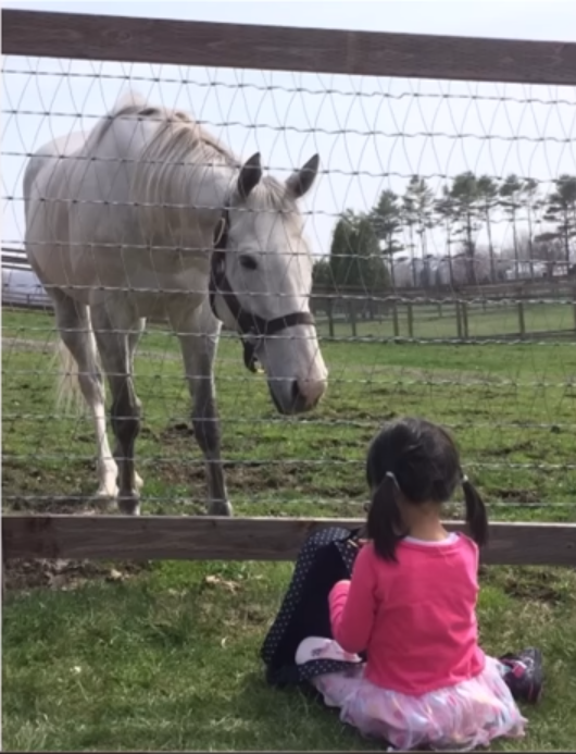 西川秀明 tweet media