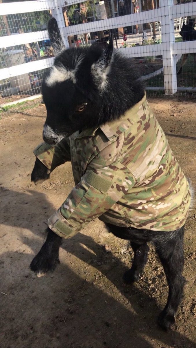 RÈBELs RÄÎDÈRs tweet media