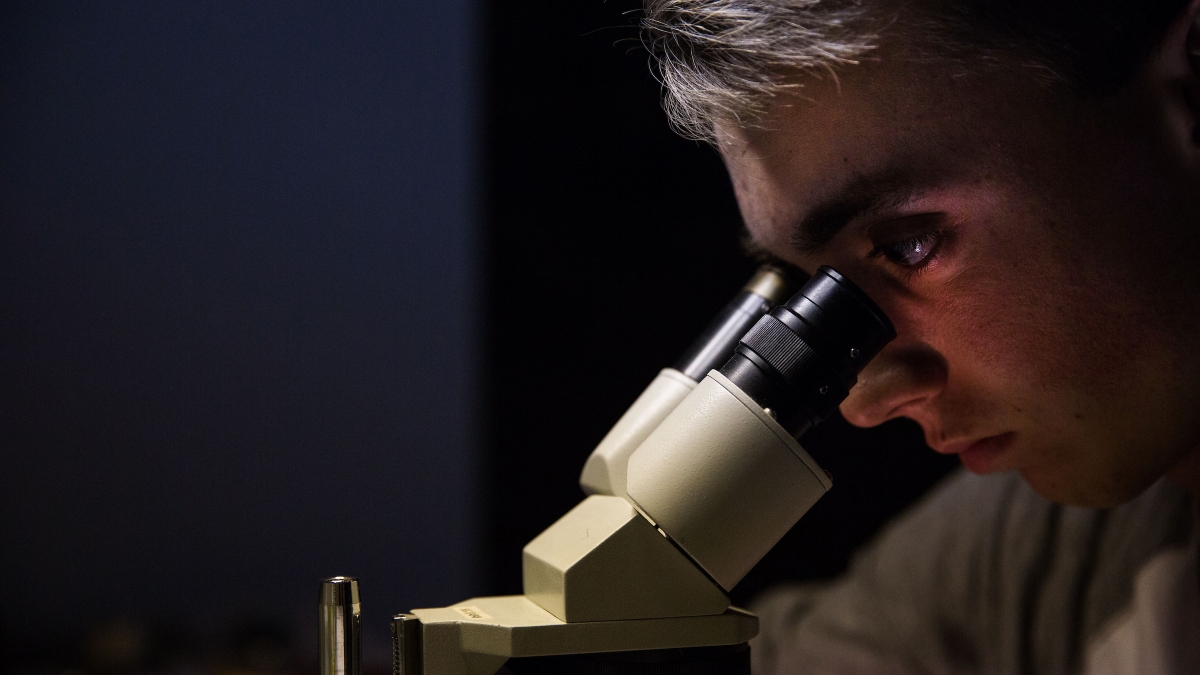 Fulton Homes tweet media