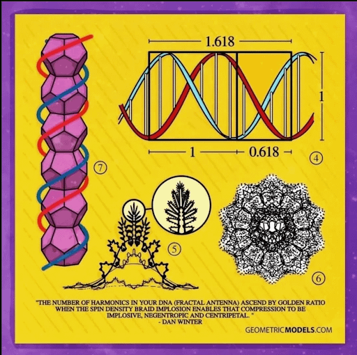 JACK SWEENEY tweet media