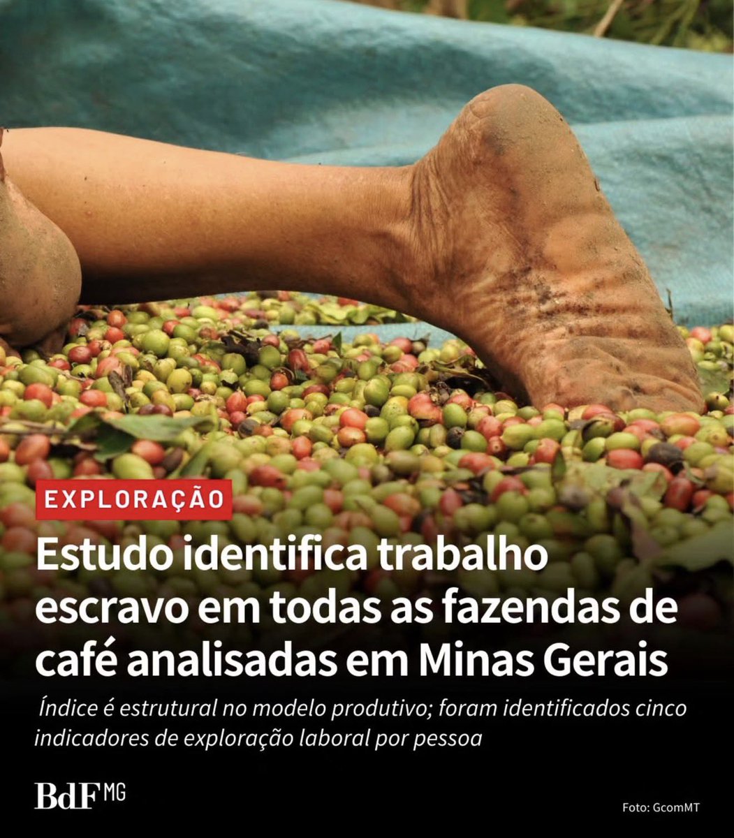 Andréia de Jesus 51.120 votos tweet media