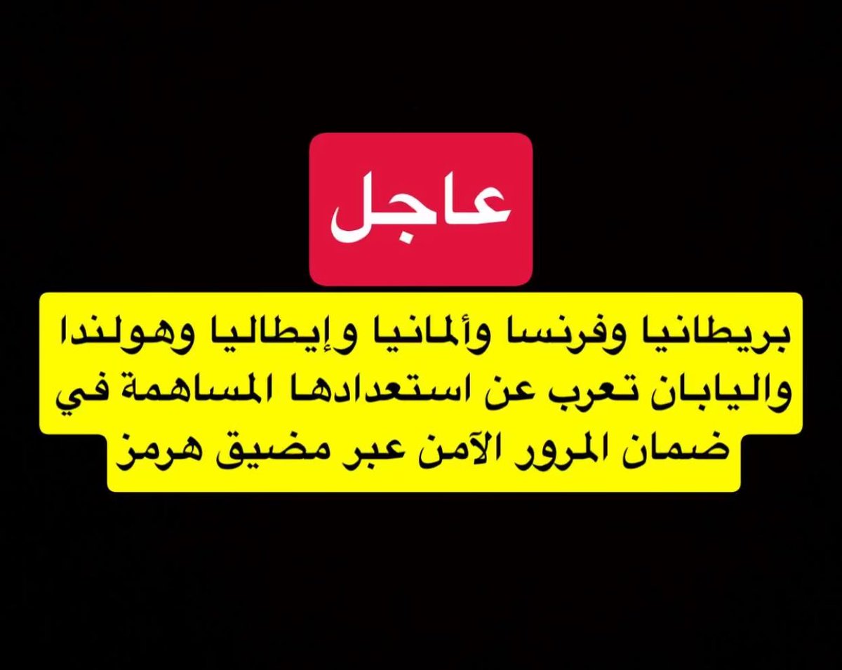 NightVibeX tweet media