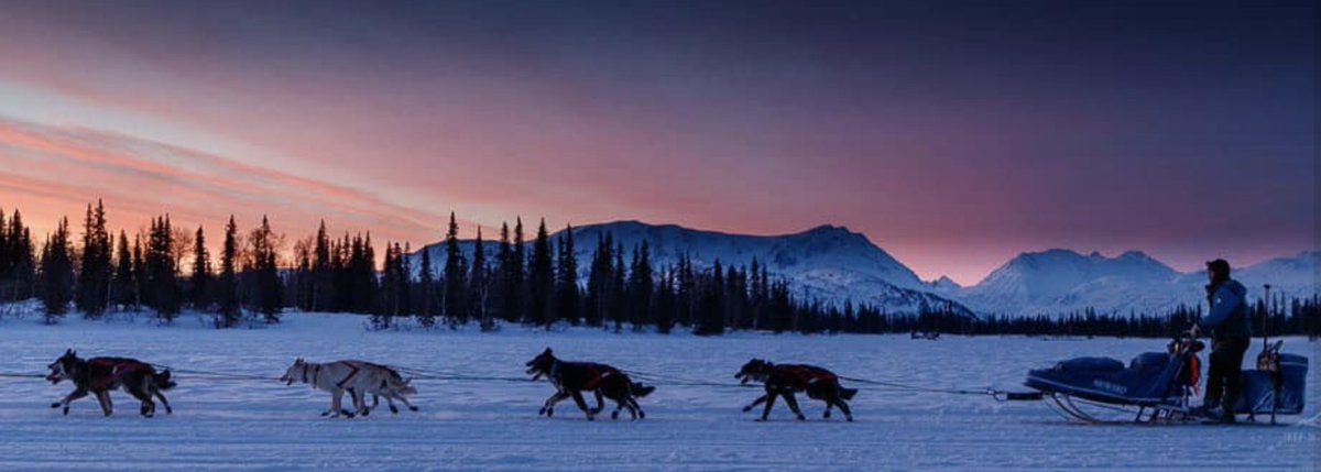 Jeff Schultz tweet media