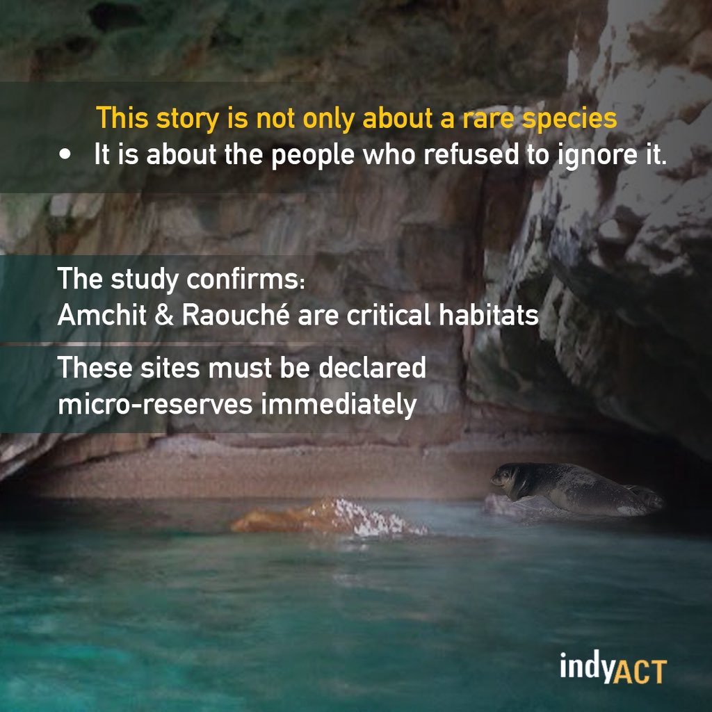 IndyACT tweet media