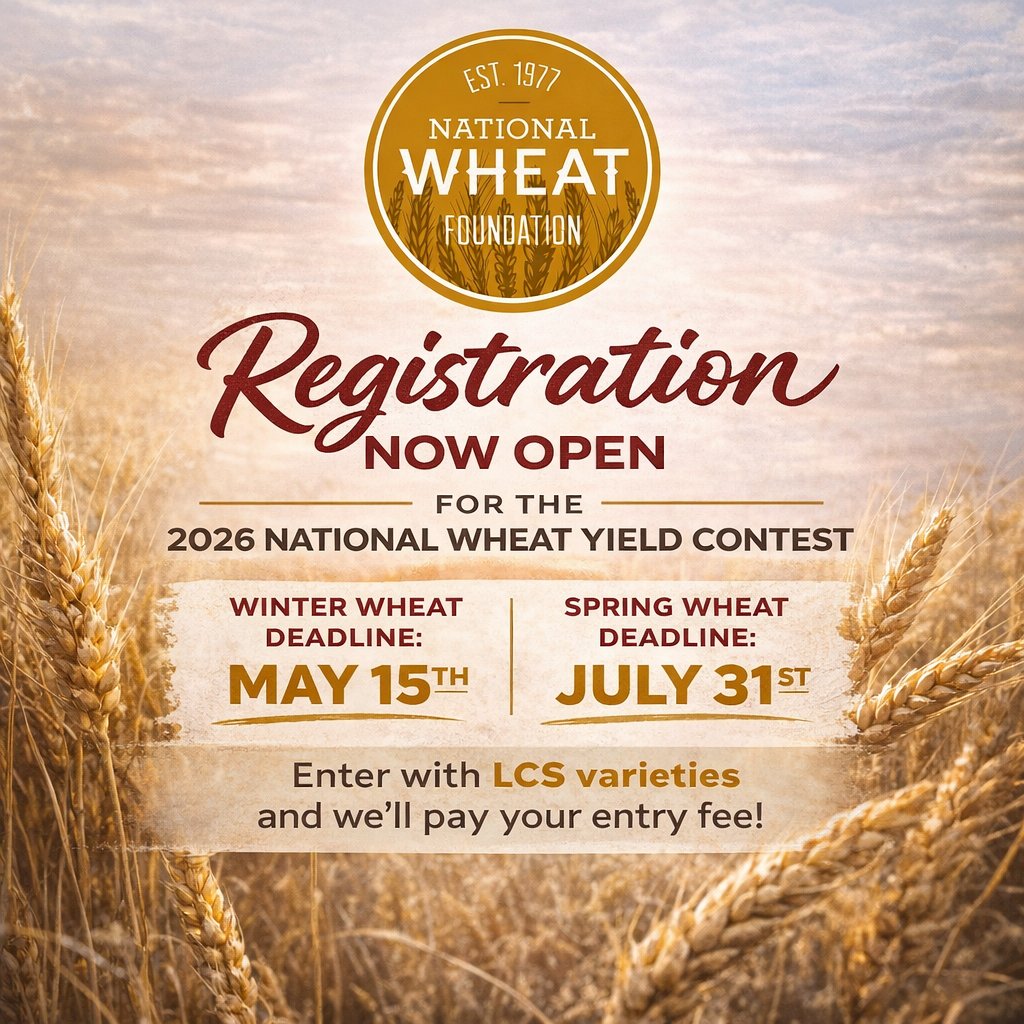 LimagrainWheat tweet media