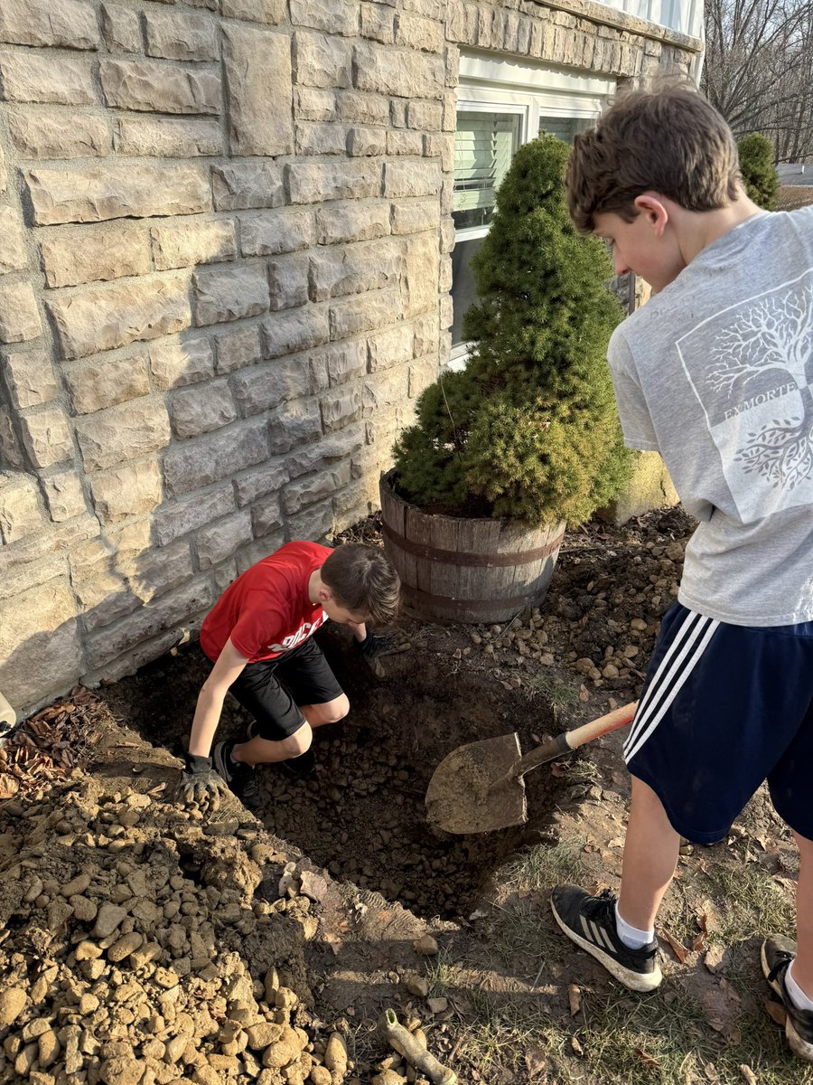 Aaron 🌟 tweet media