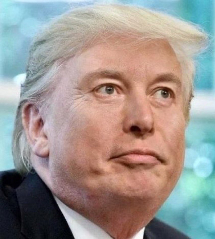 Tara Dublin, Rock Star Author & Political Savant tweet media