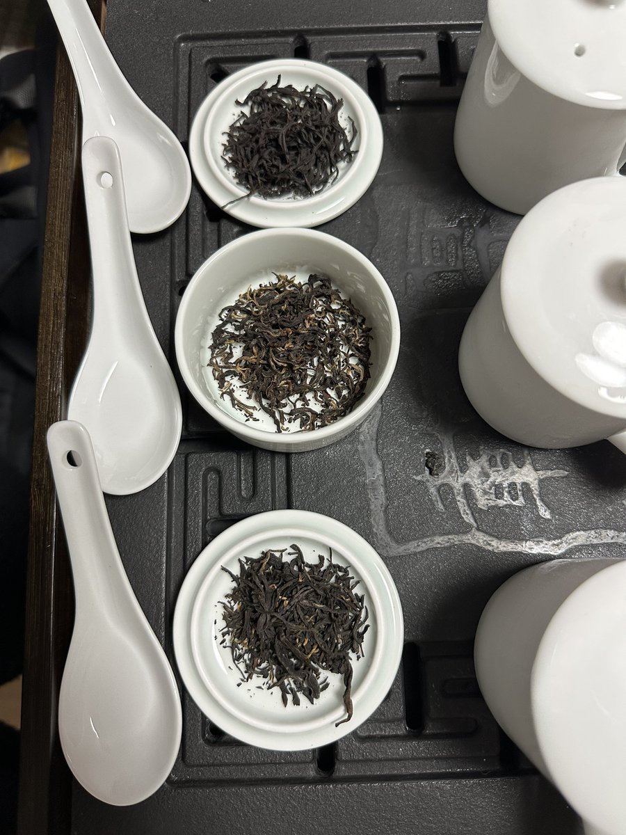 설미(모두하루) tweet media