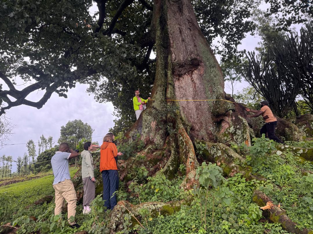 Rwanda Legacy Tree Project tweet media