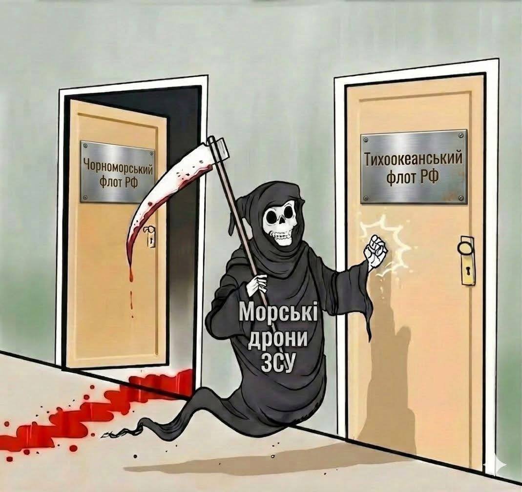 Баба і кіт tweet media