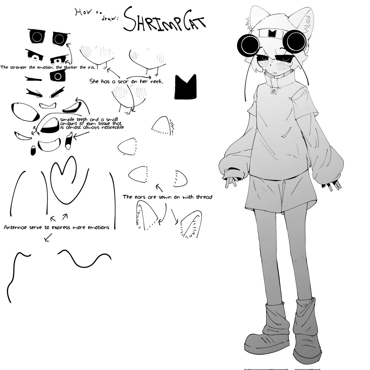 Catshrimp Art (COMMS OPEN) 0/5 DM ME 🦐🐱 tweet media