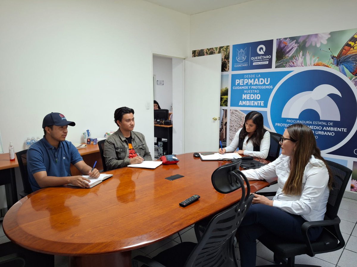 PEPMADU QUERÉTARO tweet media