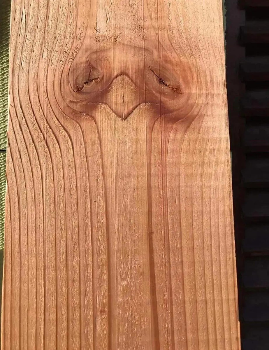 mєdoş⁠ᥫ᭡ tweet media