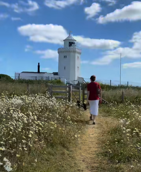 CommunityAd Ltd tweet media