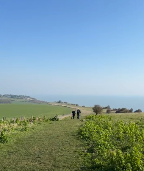 CommunityAd Ltd tweet media