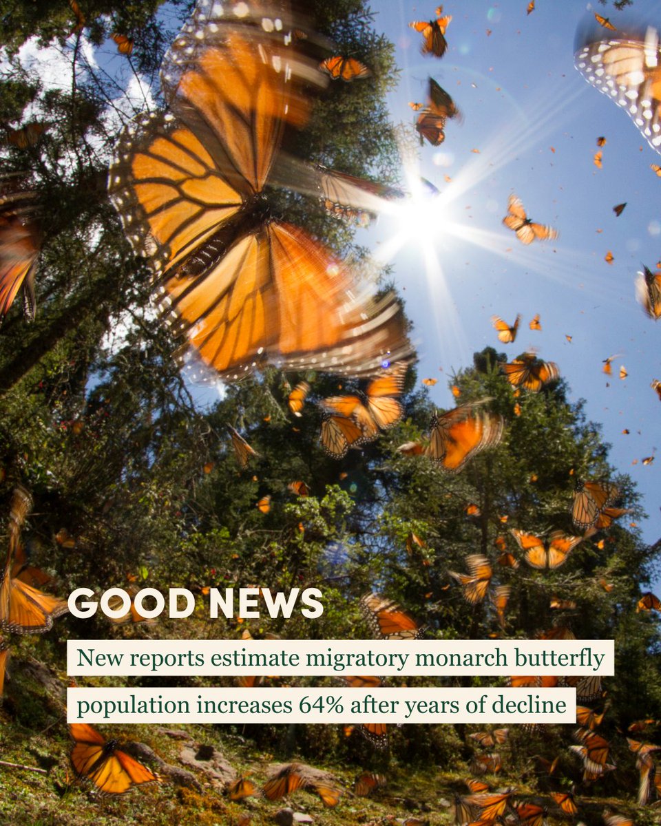 Arbor Day Foundation tweet media