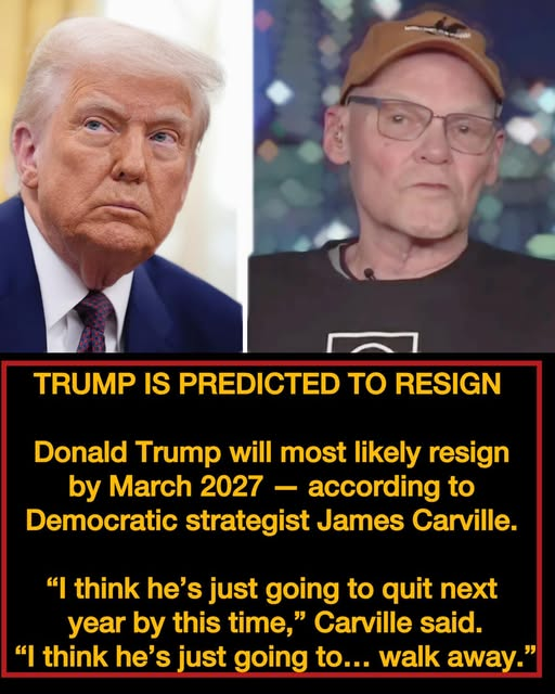 🇺🇸 Pecan 🇺🇸 tweet media